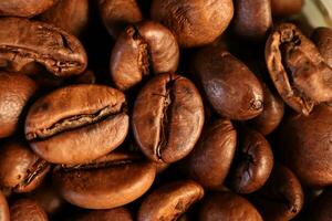 Coffee beans under warm light in close-up photo