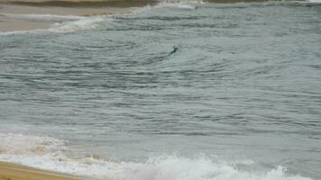 Slow motion footage, azure sea wave rolling ashore. Tourism and travel concept video