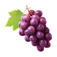 bunch of grapes ai generated png