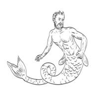 Merman Swimming Front View Medieval Drawing vector