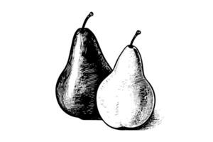 Pear. Ink sketch isolated on white background. Hand drawn vector illustration.