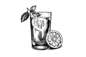 Drink lemonade with lemon and mint hand drawn engraving style vector illustration