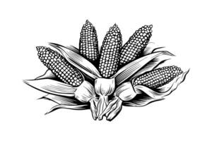 Heap of corn hand drawing sketch vintage engraving vector illustration.