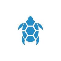 Turtle animal cartoon icon vector