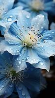 cerca arriba de azul flores con gotas de agua en oscuro antecedentes. hermosa macro foto. vistoso flores generativo ai foto