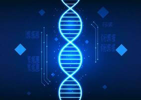 Medical technology DNA structure displayed on a researcher's screen It represents the use of technology in medicine that shows DNA information. to bring information to research and treat patients vector