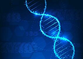 Medical technology. Structure of DNA with numerical codes as elements. It represents the use of technology in medicine that shows DNA information. to bring information to research and treat patients vector