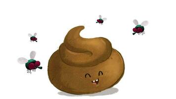 Poop with flies. Excrement with insects video