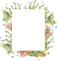 Frame of green sea plant watercolor illustration isolated on white background. Laminaria, vector