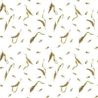 Wheat ear, barley watercolor seamless pattern on white background. Spikelet of rye, malt stalk hand drawn. Design element for textile, wrapping, packaging, label grocery, bakery, paper vector