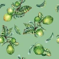 Branch of tree and single guava fruit watercolor seamless pattern isolated on green background. Green leaves, flowers of guajava hand drawn. Design for wrapping, packaging, fabric, paper, textile vector