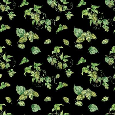 Hop vine, plant humulus watercolor seamless pattern isolated on black background. Hop on brunch with leaves, hop cones hand drawn. Design element for wrapping, label, packaging, paper, textile