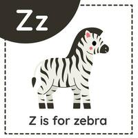Animal alphabet flashcard for children. Learning letter Z. Z is for zebra. vector
