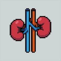 Pixel art illustration Kidney. Pixelated Kidney. Kidney icon pixelated for the pixel art game and icon for website and video game. old school retro. vector