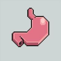 Pixel art illustration Stomach. Pixelated Stomach. Stomach icon pixelated for the pixel art game and icon for website and video game. old school retro. vector