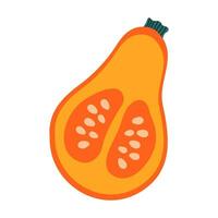 mano dibujado calabaza con semillas aislado en blanco antecedentes. otoño, caer, acción de gracias y Víspera de Todos los Santos decoración. vector