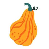 mano dibujado calabaza aislado en blanco antecedentes. otoño, caer, acción de gracias y Víspera de Todos los Santos decoración. vector