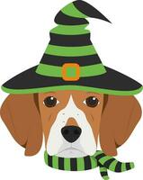 Halloween greeting card. Beagle dog dressed as a witch with black and green hat and scarf vector