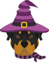 Halloween greeting card. Rottweiler dog dressed as a witch with black and purple hat and scarf vector