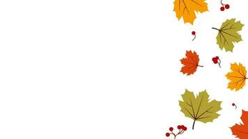 Happy Thanksgiving Background animation with pumpkin and colorful leaves. Space area video