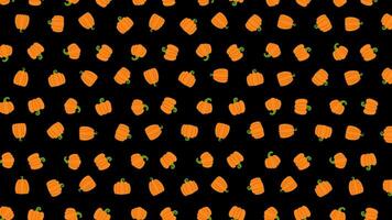 animation de sans couture motifs de citrouille pour action de grâces et l'automne thèmes. video