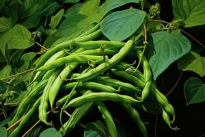 Green beans growing in a garden in summer. Generative AI photo