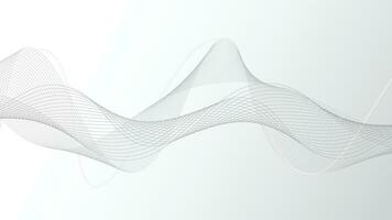 Abstract white background with flowing line waves vector