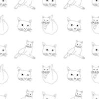 Seamless cat pattern. Funny cat background vector