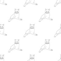 Seamless cat pattern. Funny cat background vector
