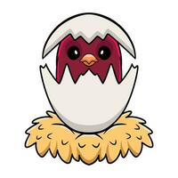 Cute pompadour cotinga bird cartoon inside from egg vector
