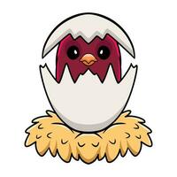 Cute pompadour cotinga bird cartoon inside from egg vector