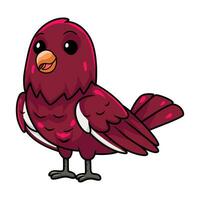 Cute pompadour cotinga bird cartoon vector