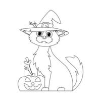 A beautiful cat with a witch's hat is sitting on a pumpkin, waiting calmly for Halloween.Linear style. vector