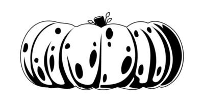 This large pumpkin represents the season when leaves change color and Halloween.Linear style. vector