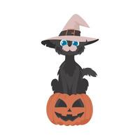 A funny black cat wearing a witch's hat is sitting on a pumpkin. The Halloween theme is all about scary and spooky things that are related to Halloween. Cartoon style, Vector Illustration