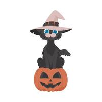 A funny black cat wearing a witch's hat is sitting on a pumpkin. The Halloween theme is all about scary and spooky things that are related to Halloween. Cartoon style, Vector Illustration