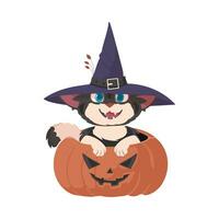 A fun black cat wearing a witch's hat is sitting on a pumpkin. The Halloween theme is all about things that are scary and spooky, which are related to Halloween. Cartoon style, Vector Illustration