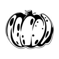 This large pumpkin represents the season of autumn and the holiday of Halloween.Linear style. vector