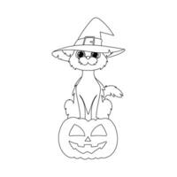 A pretty cat wearing a witch's hat is sitting on a pumpkin and patiently waiting for Halloween.Linear style. vector