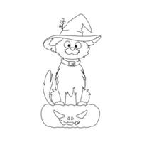 A pretty cat wearing a witch's hat is sitting on a pumpkin, patiently waiting for Halloween.Linear style. vector