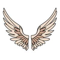 Angel wings colored outline isolated on white background. Vector illustration.