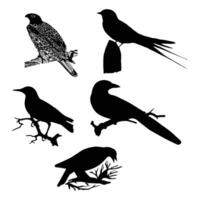 Birds are sitting on the tree branches silhouette. vector
