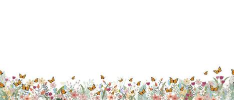 Seamless pattern flower border with butterfly,Horizontal floral backdrop decoration with cute multicolour wide flower and leaves frame on white background.Vector Spring or Summer botanical flat design vector