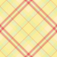 Plaid pattern vector. Check fabric texture. Seamless textile design for clothes, paper print. vector