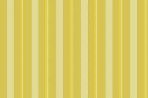 Lines pattern vector of texture textile stripe with a vertical fabric background seamless.