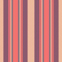 Stripe lines vector of background pattern vertical with a texture seamless fabric textile.