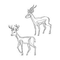 Deer Animal outline vector. vector