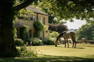 Horse ranch with green landscape photo