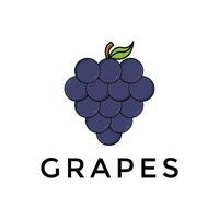 grapes logo flat style for business vector