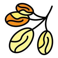 Arabic date fruit icon vector flat